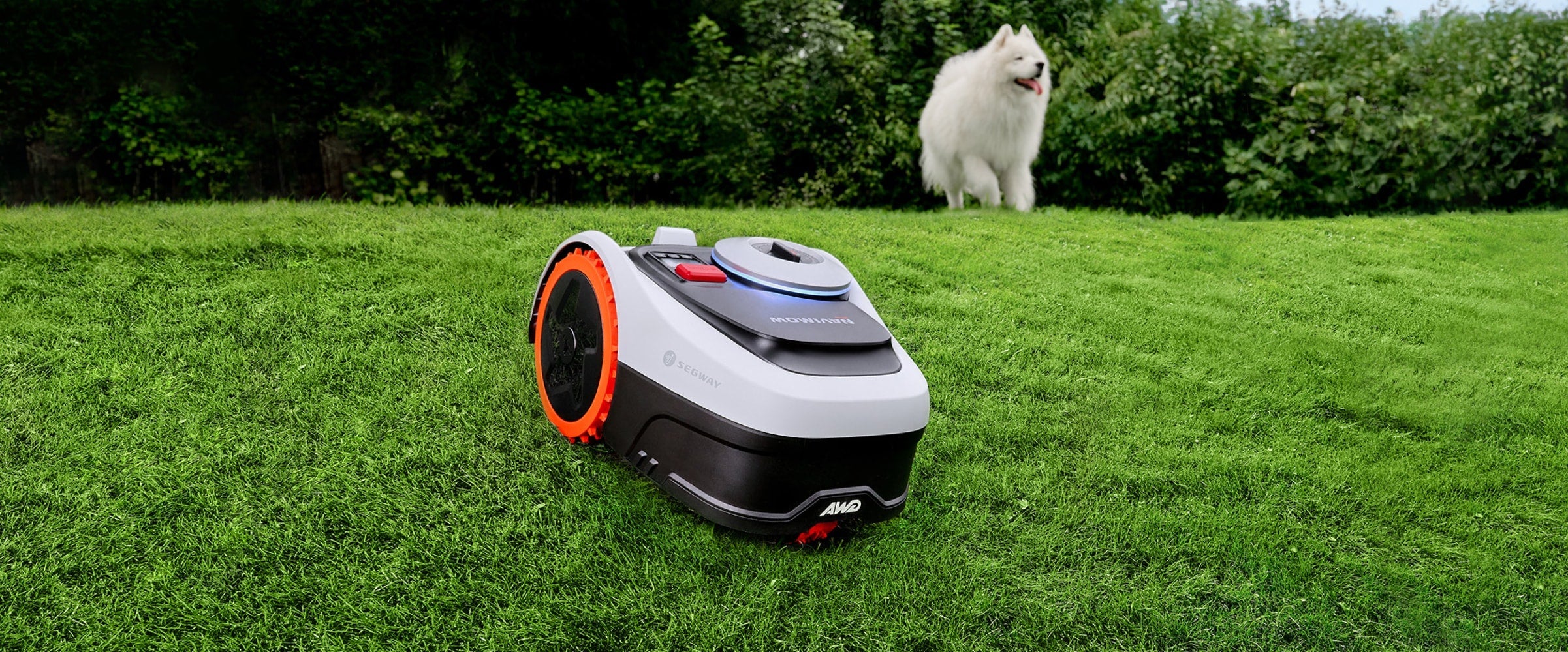 Segway Navimow robot lawn mower mows the grass with dog.