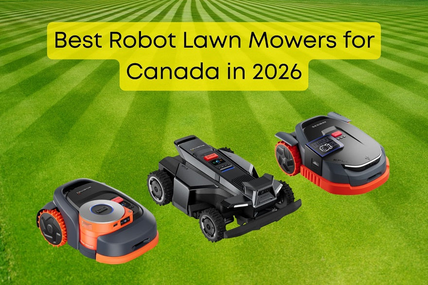 Best Robot Lawn Mowers Canada