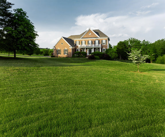 Navimow i110N robot lawn mower on a large green lawn.