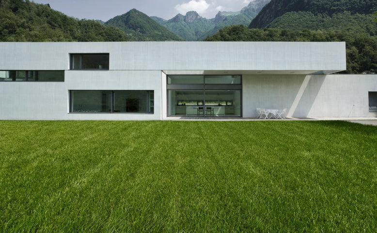 Modern white house with a green lawn and mountain range.