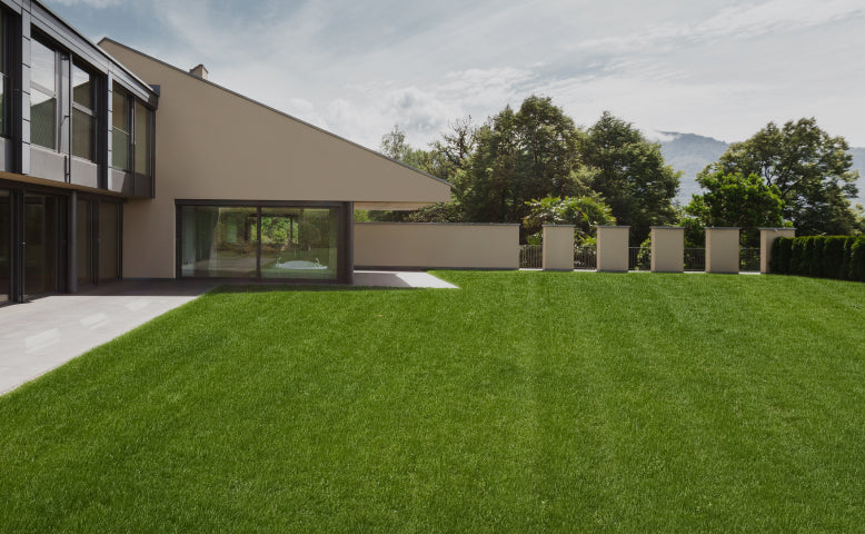 Navimow i105E robot lawn mower for a beautiful green lawn.