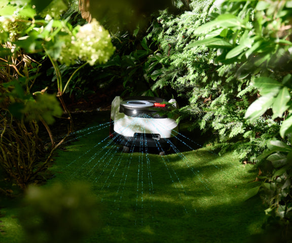 Navimow i110 robot lawn mower mows the lush garden grass.
