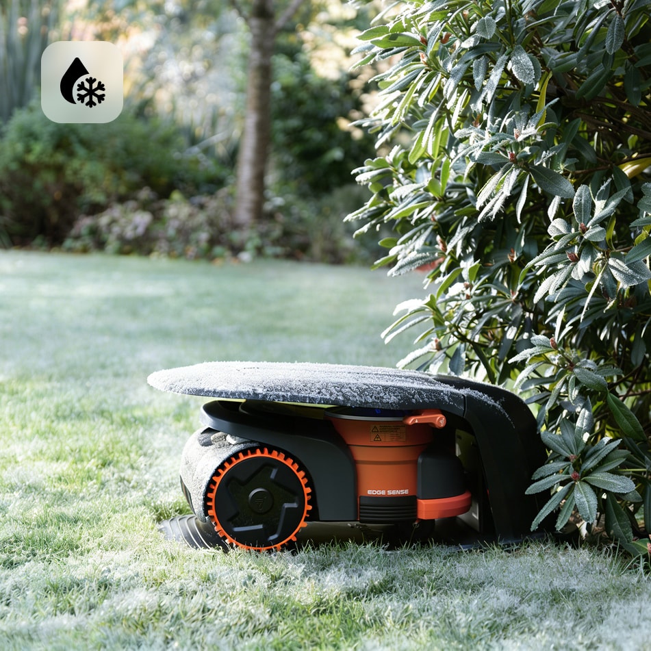 Segway Navimow i Series robot lawn mower in frosty garden.