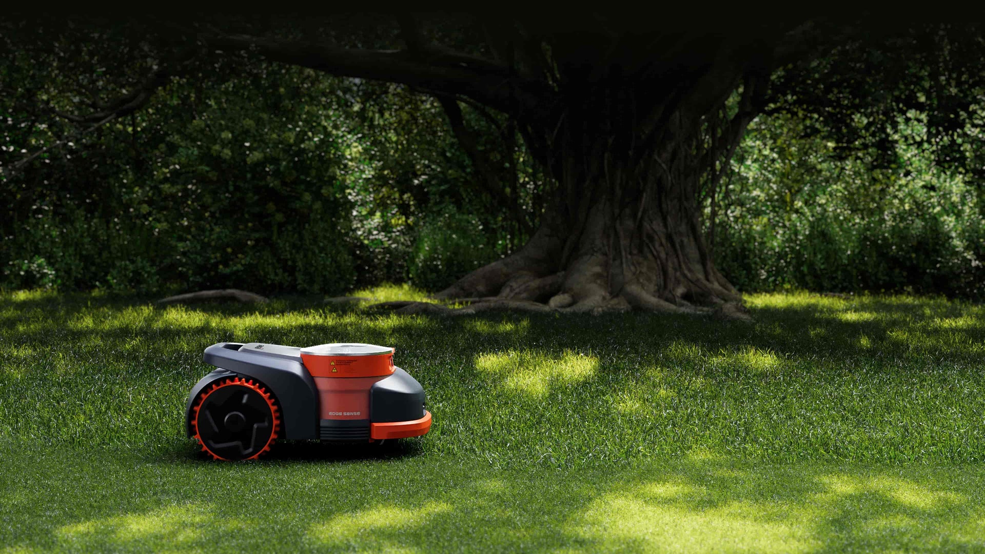 Under Trees