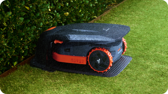 Weather Adaptive: Real-time Updates and Responses