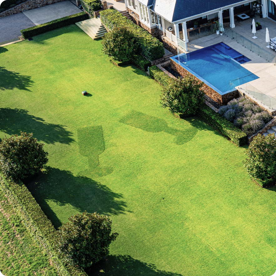 Get Creative with Doodle