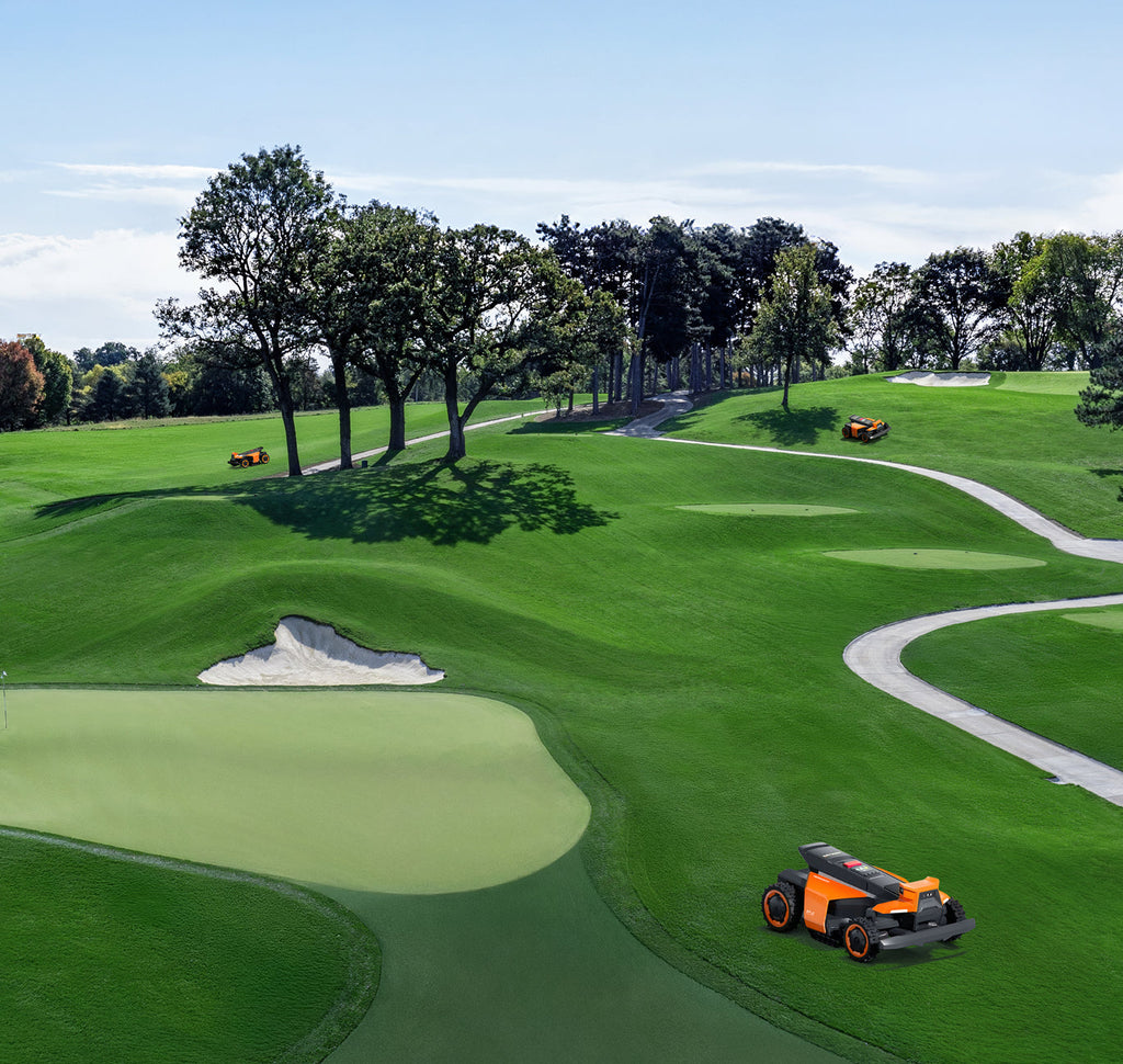 Navimow i110E robot lawn mower mows the green golf course.