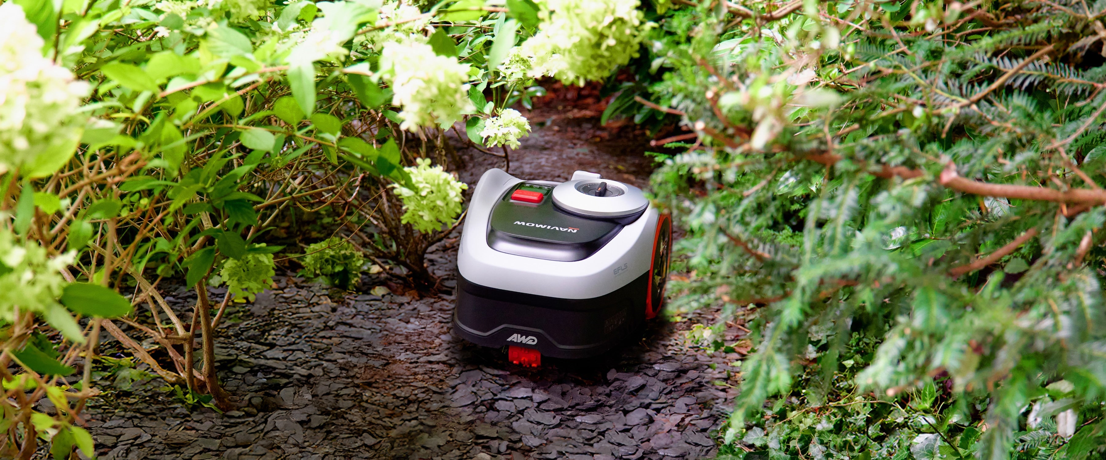 Navimow i Series AWD robot lawn mower on a path.