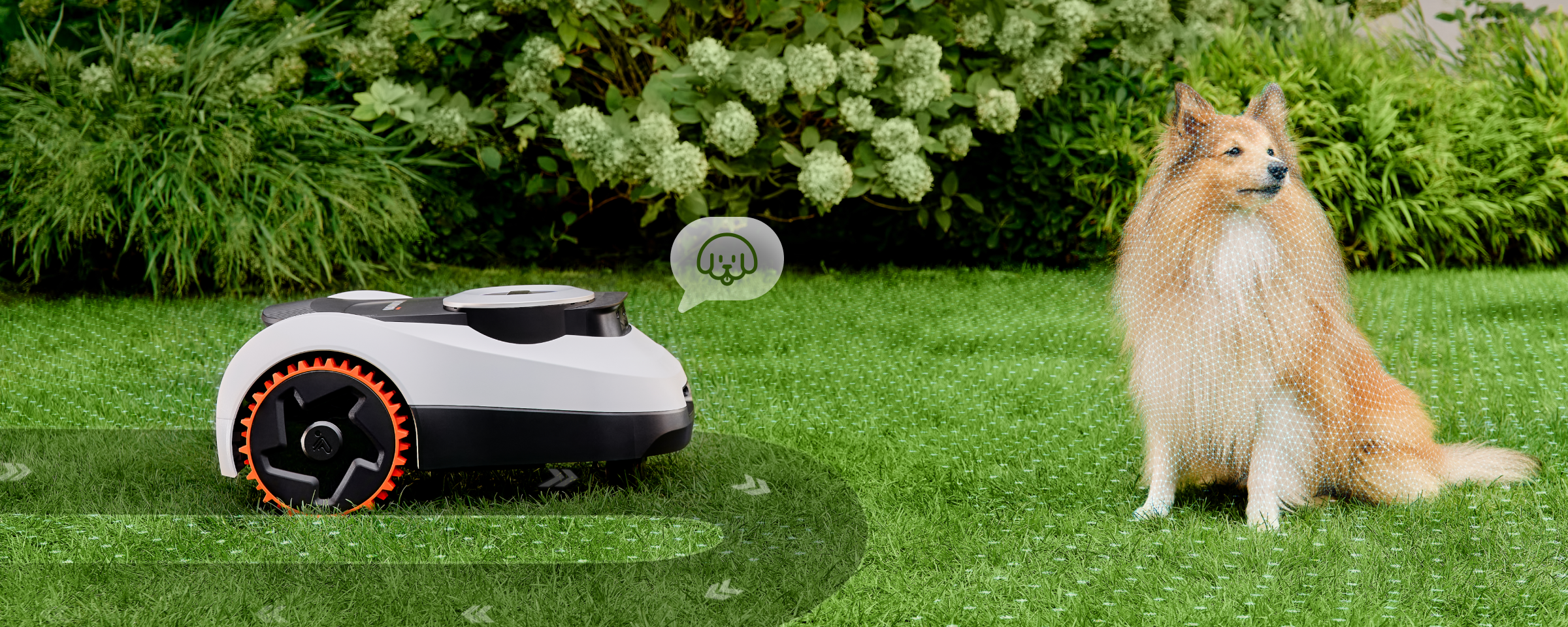 Navimow i110N robot lawn mower avoids a dog in grass.