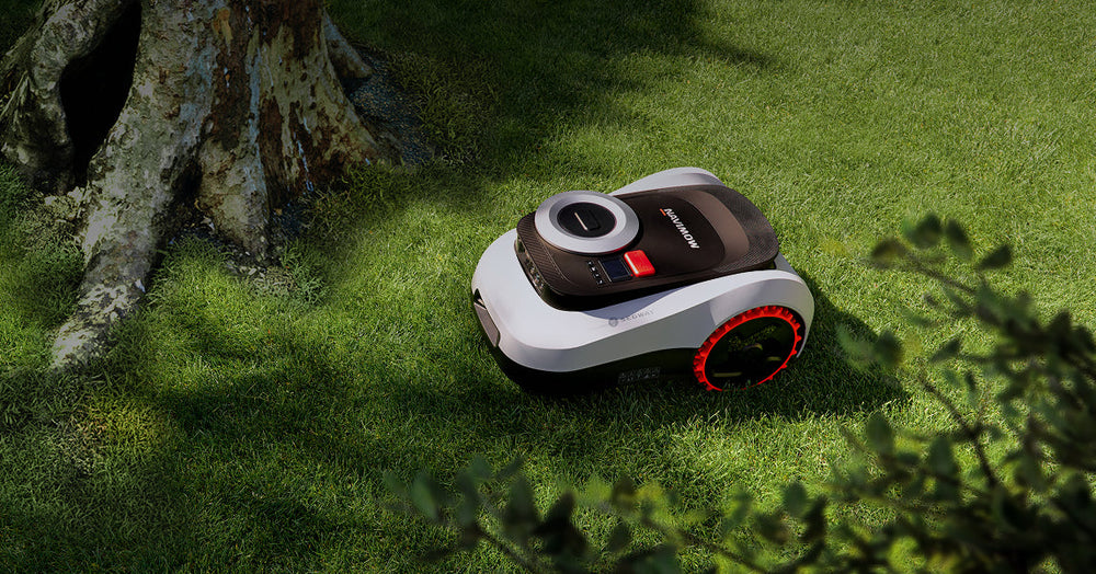 Segway Navimow i110E robot lawn mower on the green grass.