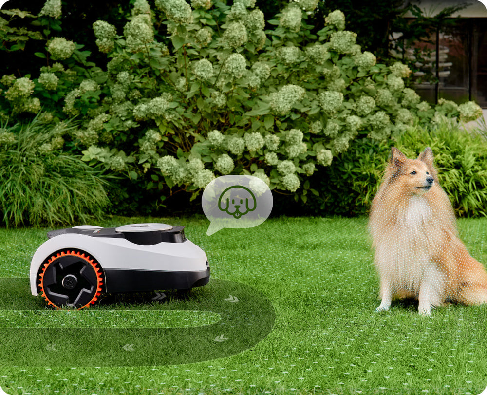 Navimow i110N robot lawn mower detects a dog in garden.