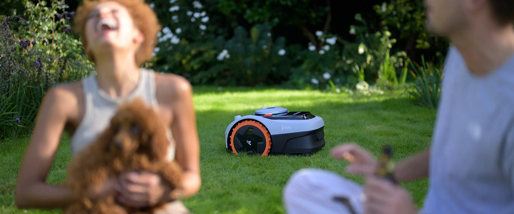 Navimow i105 robot lawn mower on a green sunny lawn.