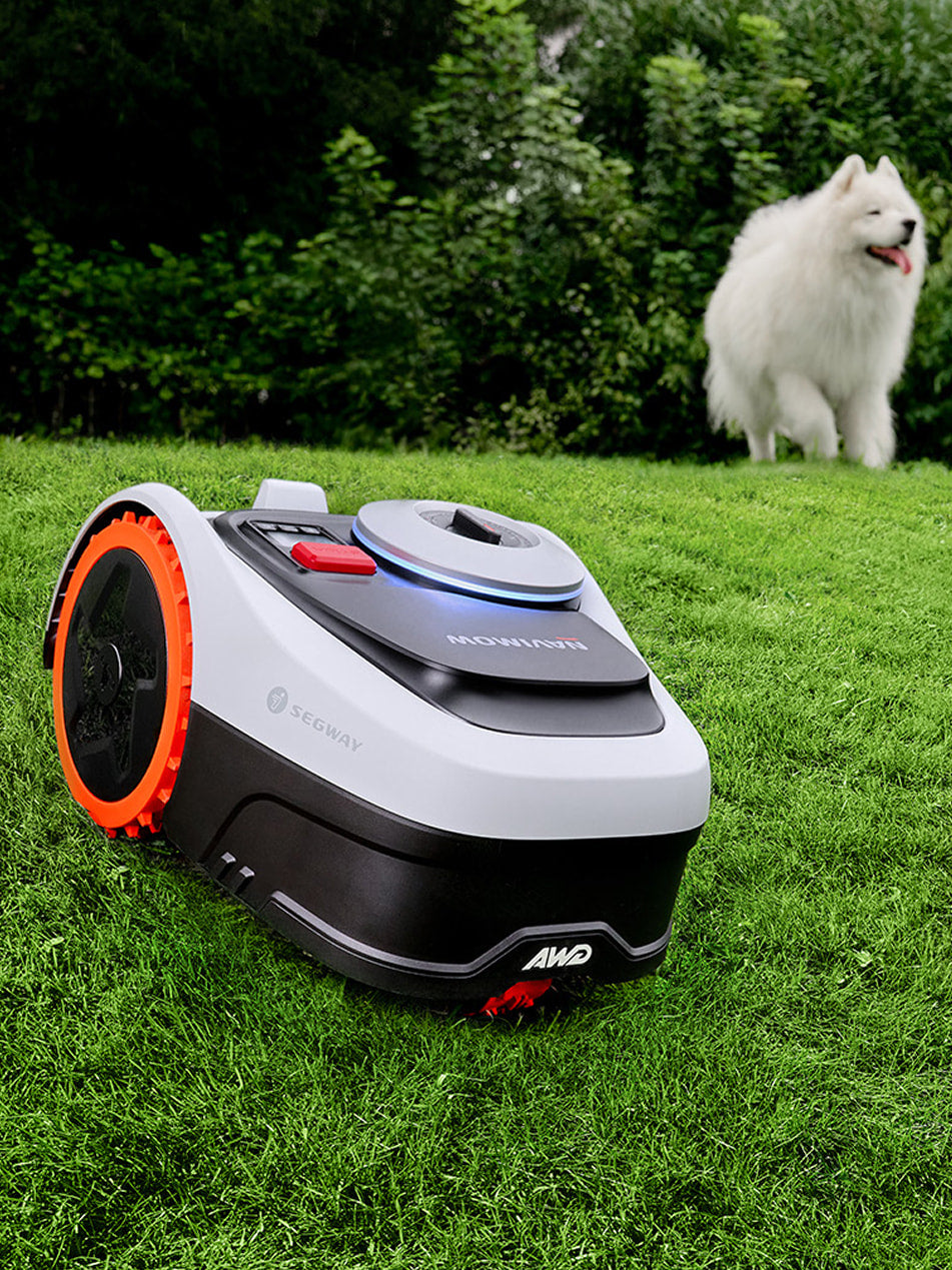 Segway Navimow i Series robot lawn mower and white dog.